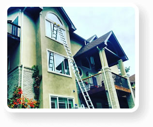 gallery section image