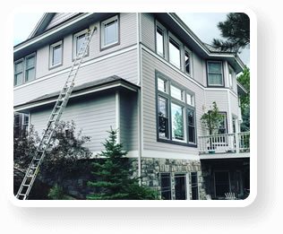 gallery section image